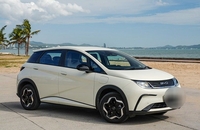 اجاره بی وای دی Dolphin