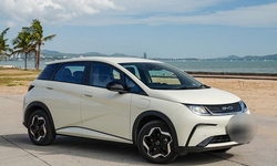 byd Dolphin