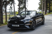 اجاره فورد موستانگ کروک