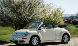 volkswagen beetle Convertible