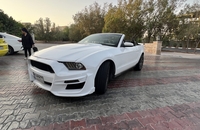 اجاره فورد موستانگ GT کروک