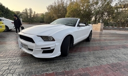 اجاره فورد موستانگ GT کروک