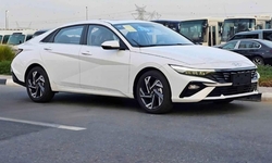 اجاره هیوندای النترا