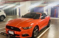 اجاره فورد موستانگ کروک