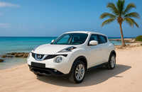 اجاره نیسان جوک