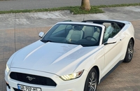 اجاره فورد موستانگ کروک