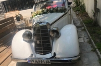 اجاره فولکس بیتل کروک کروک