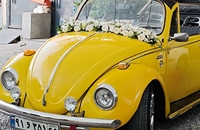 اجاره فولکس بیتل کروک کروک