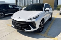 اجاره لاماری ایما